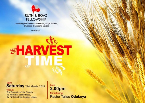 11050732_937940179551038_5407968046041659185_n