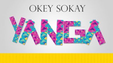Okey Sokay - Yanga