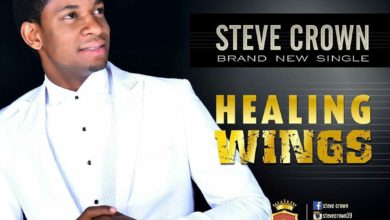 Steve Crown - Healing Wings