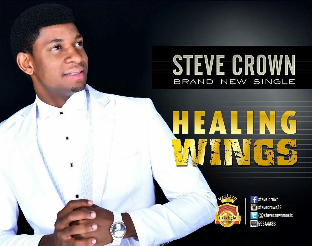 Steve Crown - Healing Wings