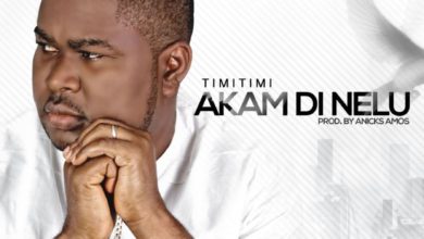 TIMITIMI - AKAM DI NELU