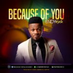 Because of You - Endy Musik