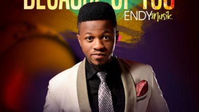 Because of You - Endy Musik