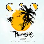 CSO - Flourishing