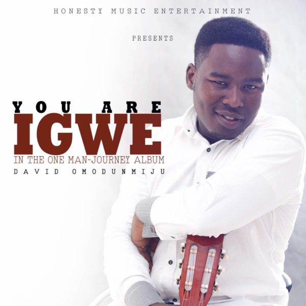 You are Igwe - David Omodunmiju