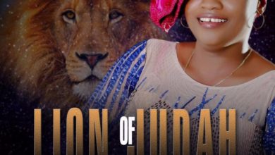 FaitFavour - Lion Of Judah