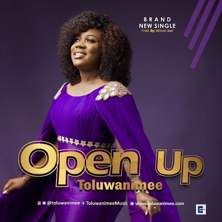 Toluwanimee - Open Up [Art cover]