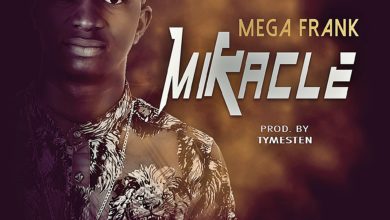 MEGA FRANK - MIRACLE