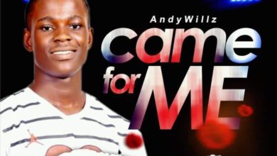 Andy Willz - Came For Me