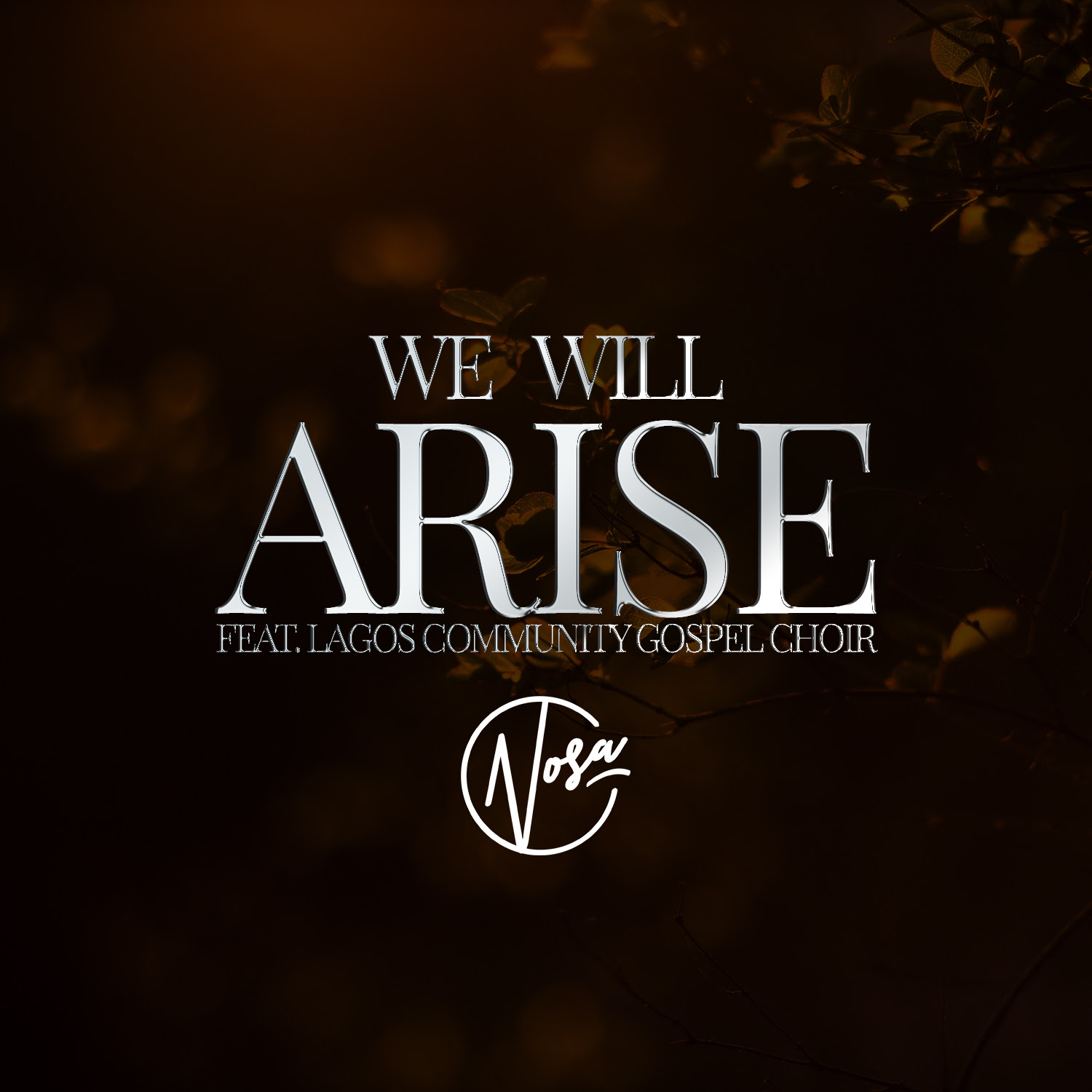 Nosa_We Will Arise