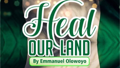 Emmanuel Olowoyo _Heal Our Land