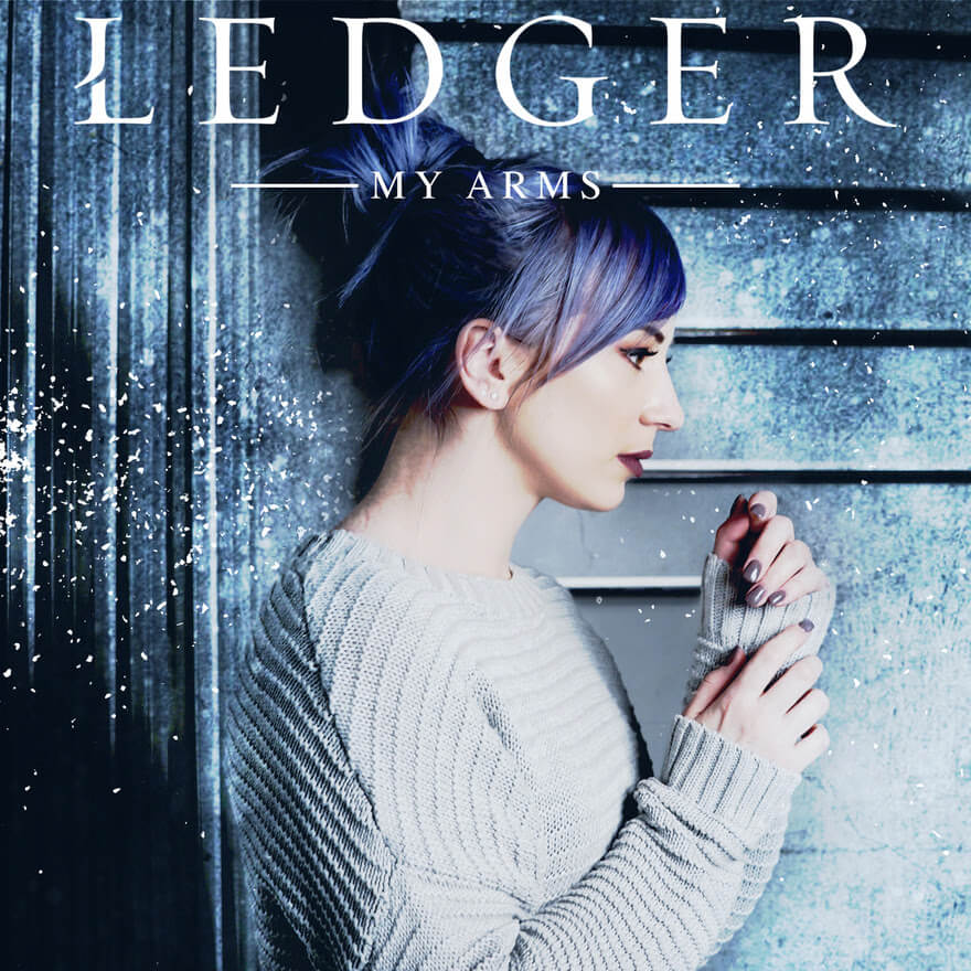 LEDGER_MY ARMS