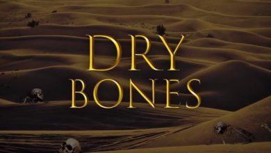 Dry-Bones_Boluwaduro