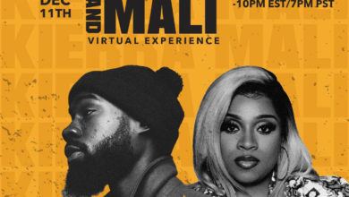 The Kierra and Mali Virtual Experience