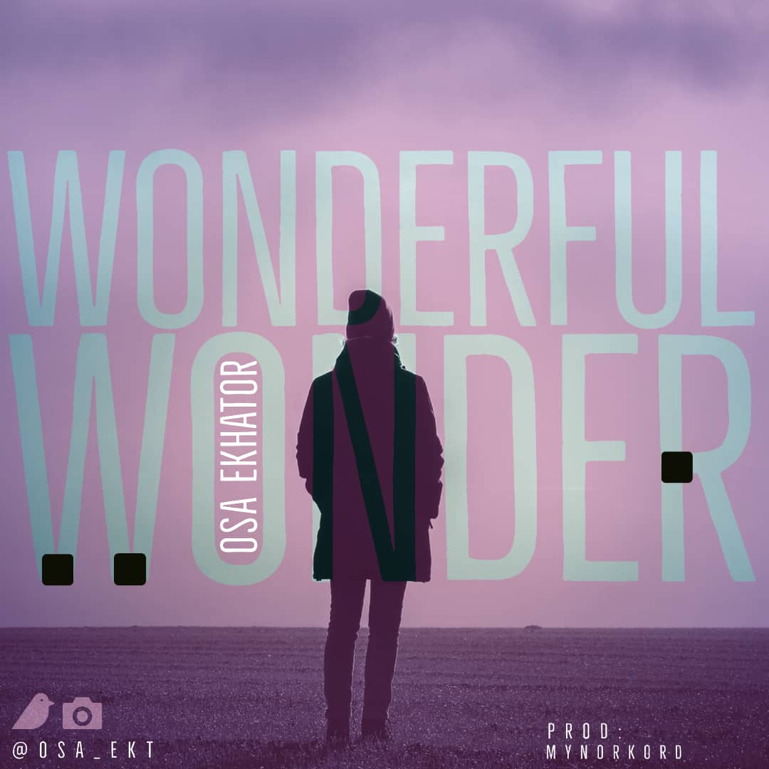 Wonderful-Wonder