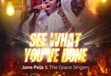 See What You've Done - Jane Pela