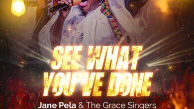 See What You've Done - Jane Pela